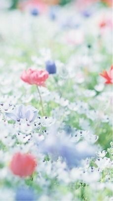 eLOHAS【ココロとカラダの健康サロン】