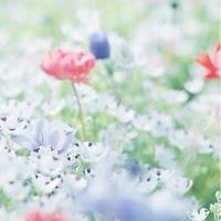 eLOHAS【ココロとカラダの健康サロン】