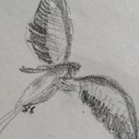 言の葉は 朝露迎え かしらづく