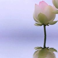 【HELP SALE】☆007 全台好民宿＆好旅店＆好飯店