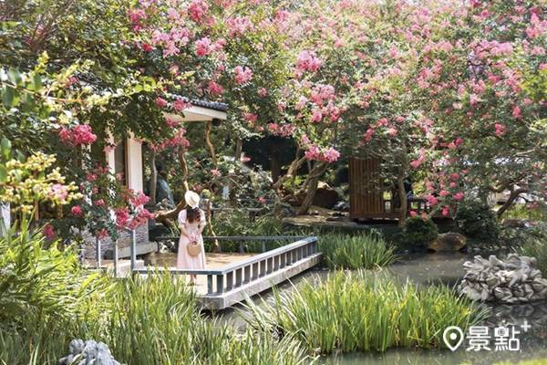 紫薇花海日式庭園 1 迷你台版兼六園禪風花景必賞 景點家 Line Today