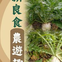 新良食農遊趣