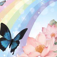 🌈銀遊商会s258【商人放浪記】✈️