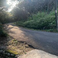 豪媽麻油雞