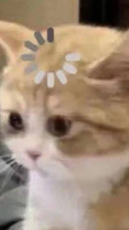 301班群