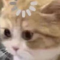 301班群