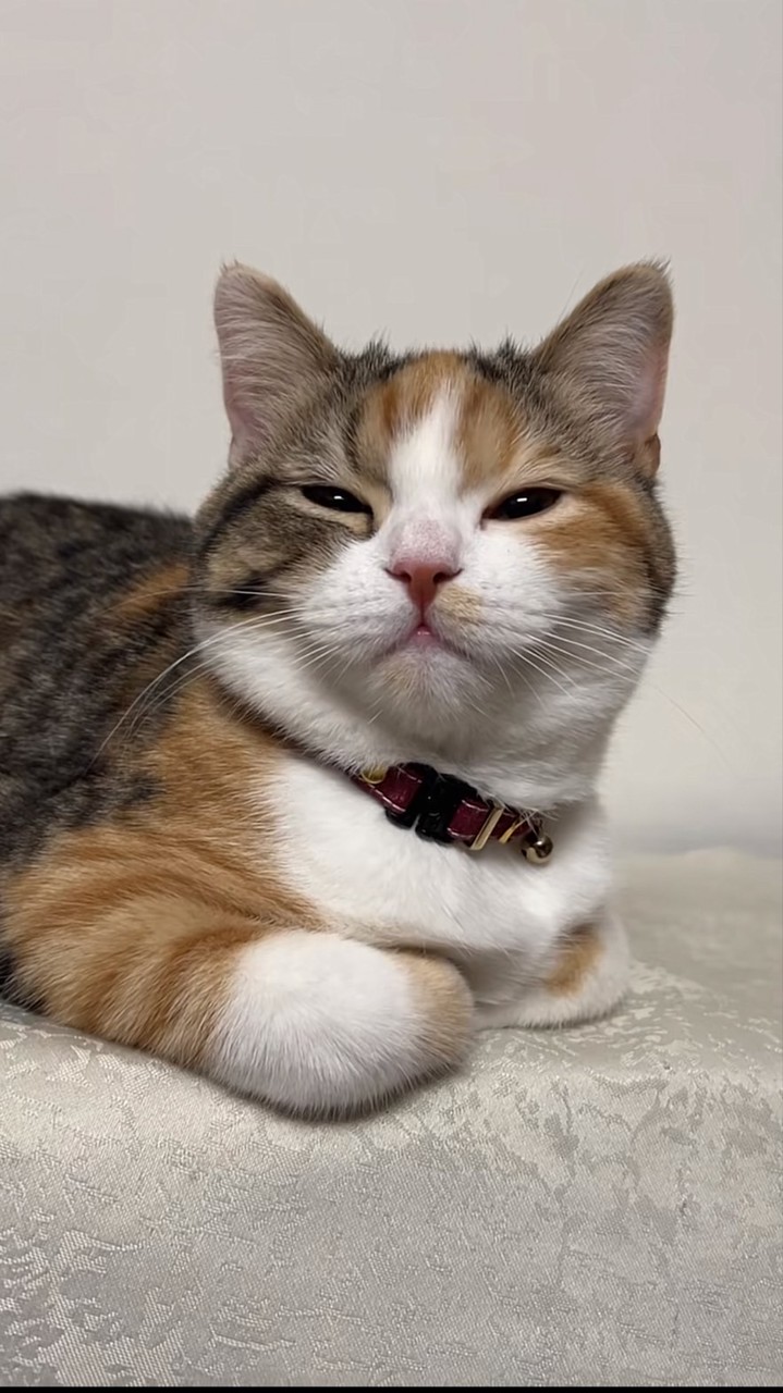 すずきのこと好きな人おいで