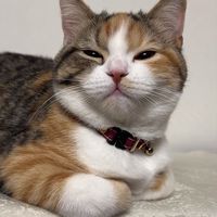 すずきのこと好きな人おいで