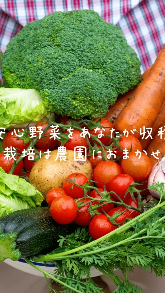 採るだけファーム　イベント案内
