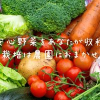 採るだけファーム　イベント案内