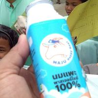 ตัวแทนจำหน่าย MAJU นมแพะ