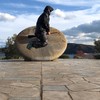 地球の山ちゃん部屋