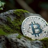 Crypto&EveryInvestment