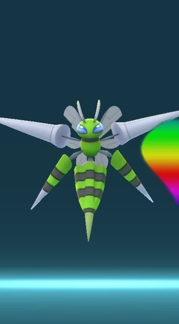ポケ活を楽しむ！・雑談