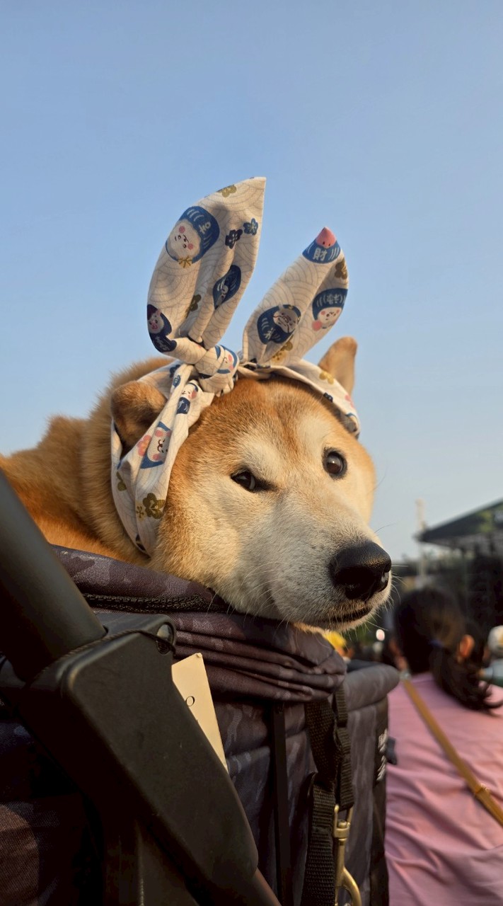 柑仔生活記錄