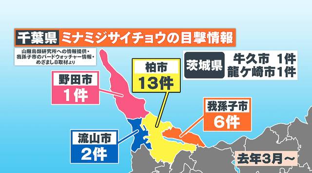 千葉縣 謎之巨鳥 突現 非洲瀕臨絕種肉食鳥出沒日本 網驚 比我還大隻 日本集合 Line Today