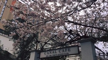Canal Cafe 的花花花世界