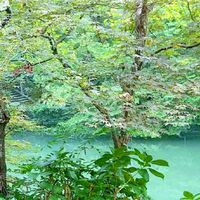 自分らしさを発見しちゃおう❗オープンチャット