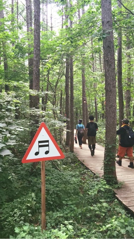 此生必去💚FUJI ROCK富士搖滾音樂節