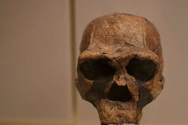 人類演化史大發現 直立人 在地球生存逾180萬年印尼爪哇是最後滅絕地點 風傳媒 Line Today