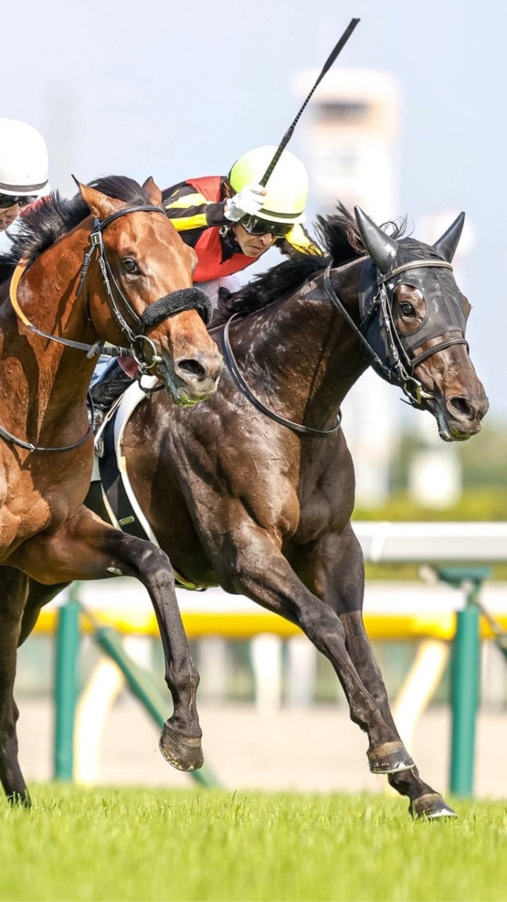 競馬雑談友の会🏇のオープンチャット