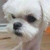 てんらいふ！なりきり