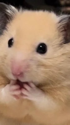 一大堆有的沒的的副群