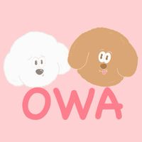 OWA好物分享-社群