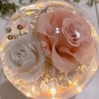 永生花/乾燥花