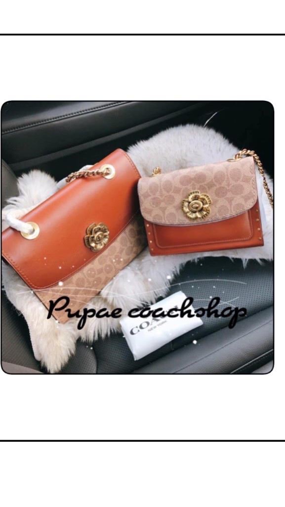 Pupae_Coachshop1/2020