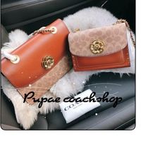 Pupae_Coachshop1/2020