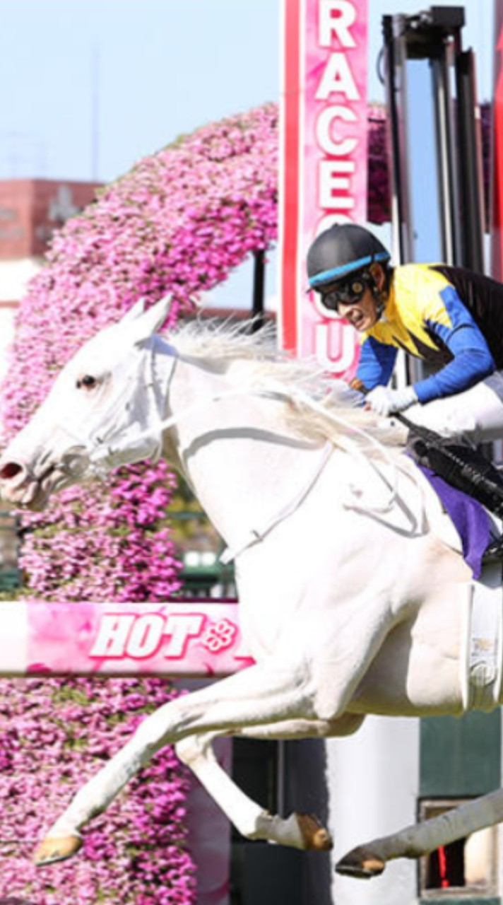 4月書き込みオープンチャット