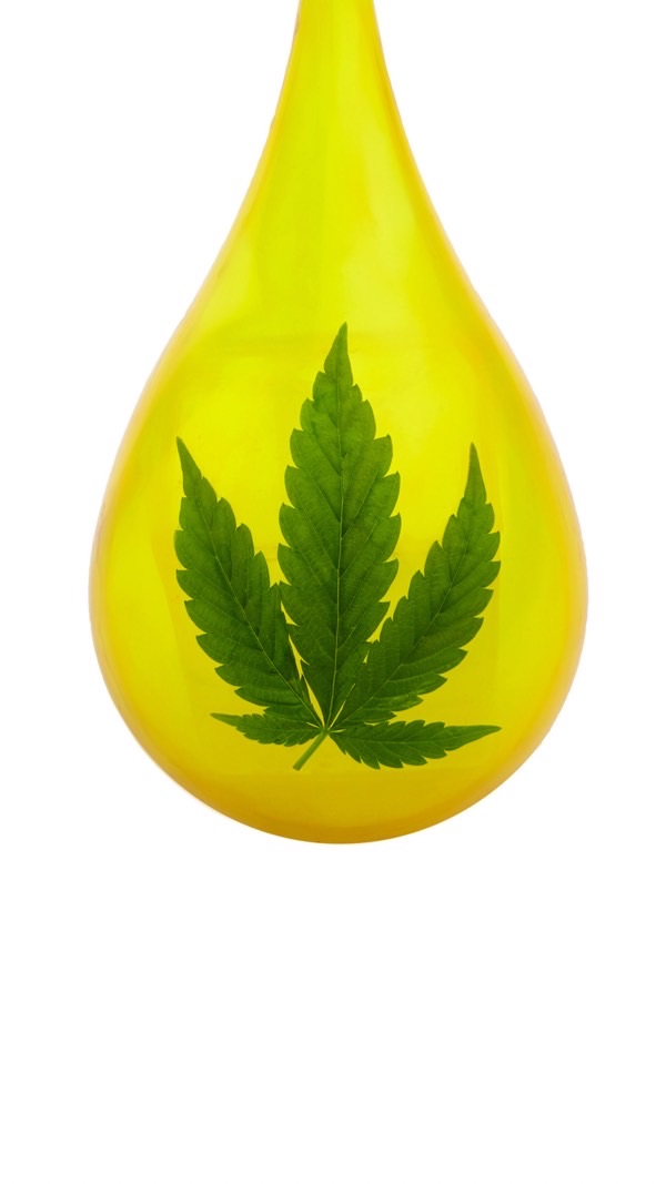 น้ำมันกัญชา น้ำมันกัญชง CBD Oil Thailand
