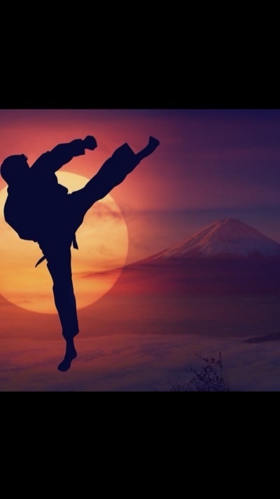 アライズクロスオーバー迫真空手ギルド