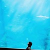 芸能人なりきり!