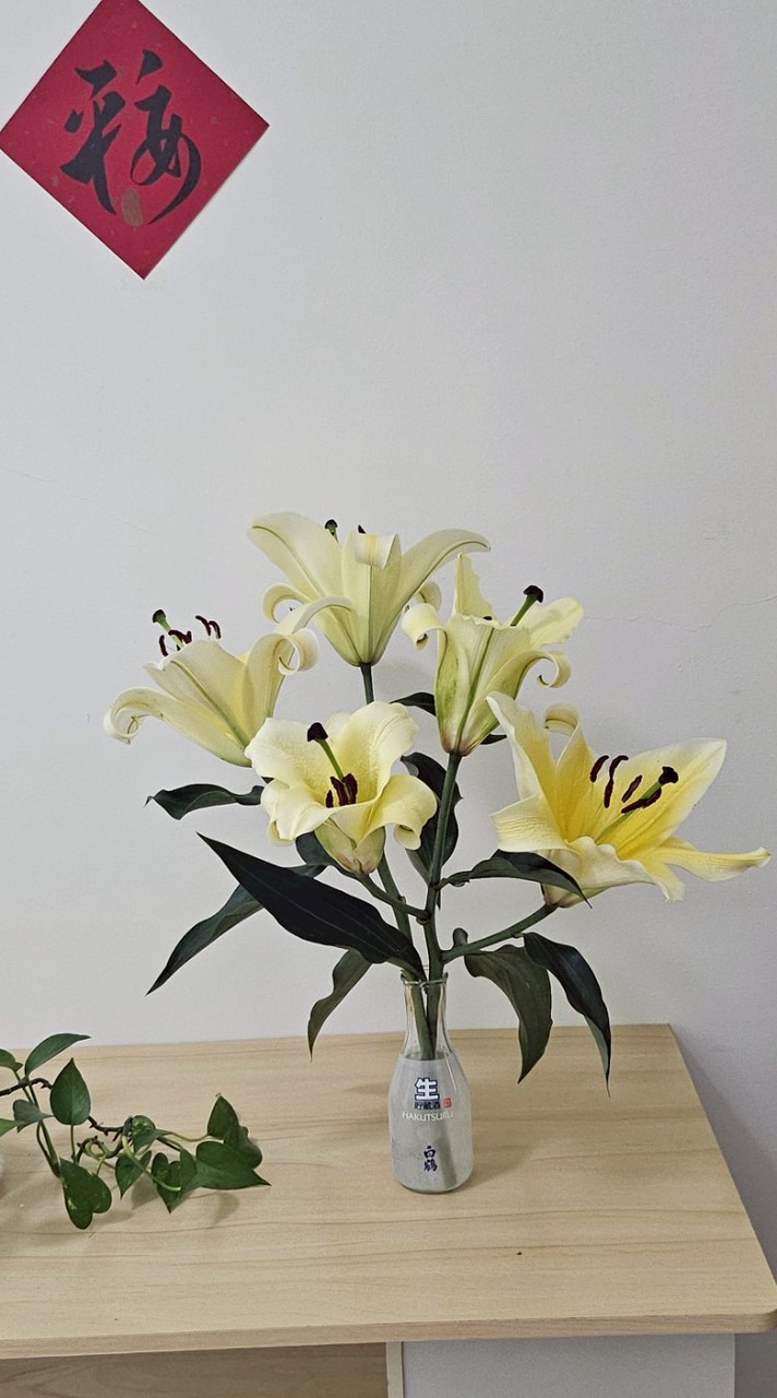 13911菁英