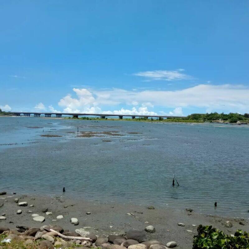 台南濕地｜鹽水溪口濕地