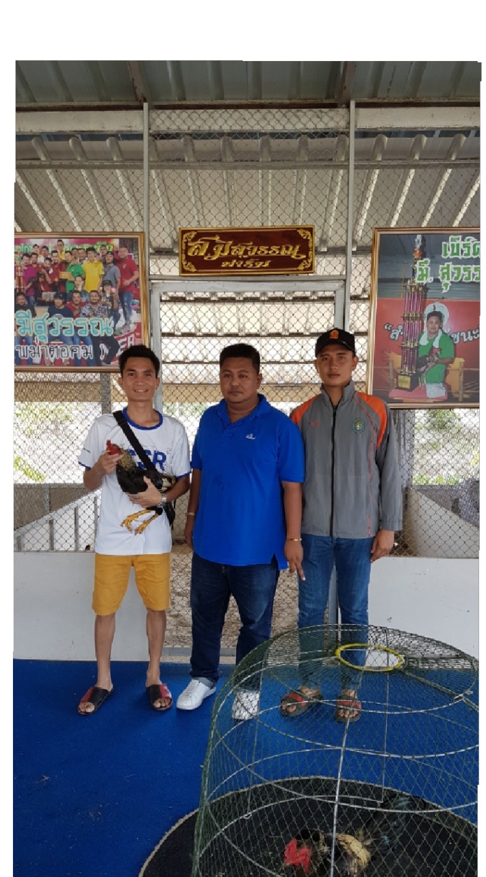 ณัฐวุฒิ ฟาร์ม