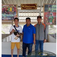 ณัฐวุฒิ ฟาร์ม