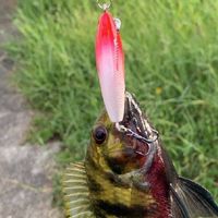 跟著海瓜子來搞休閒