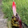 跟著海瓜子來搞休閒