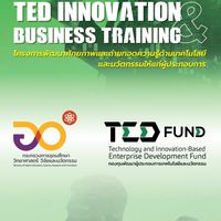 Tedinnobiz #1