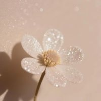 雪若凝霜（織夢花園）