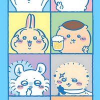Chiikawa Poka-poka