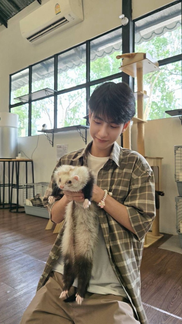 บ้านน้อยของแฮมเตอร์🐹