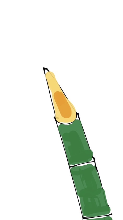 竹槍のオプチャ