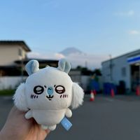 365天旅研社✈️品冠帶你飛🪽
