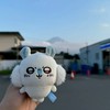365天旅研社✈️品冠帶你飛🪽