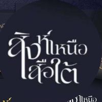 กลุ่มสิงห์เหนือเสือใต้