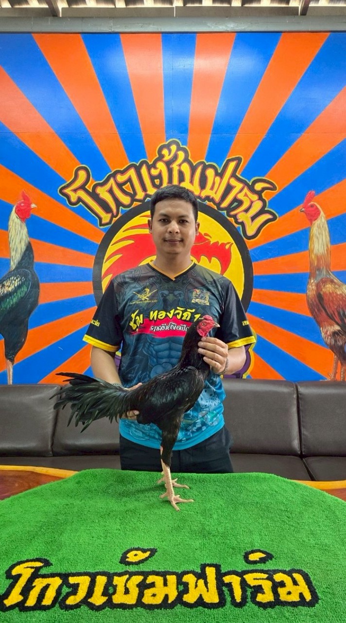 ทองวิถี 168 🐉สายเลือดโกวเซ้มฟาร์ม🐉